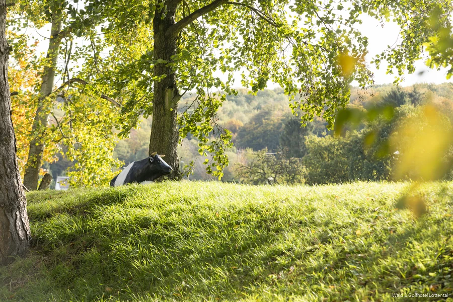 Umgebung des Wald & Golfhotel Lottental in Bochum