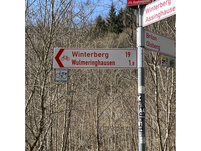 50_Beschilderungskataster_Wegweiser-Winterberg-Wulmeringhausen_493917.jpeg