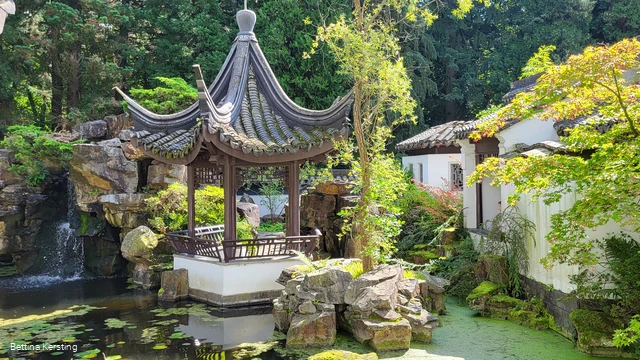 Chinesischer Garten_Bettina Kersting_CC_BY_SA.jpg