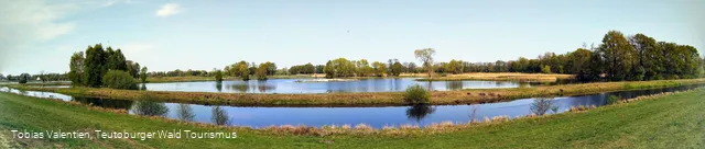 Steinhorster Becken