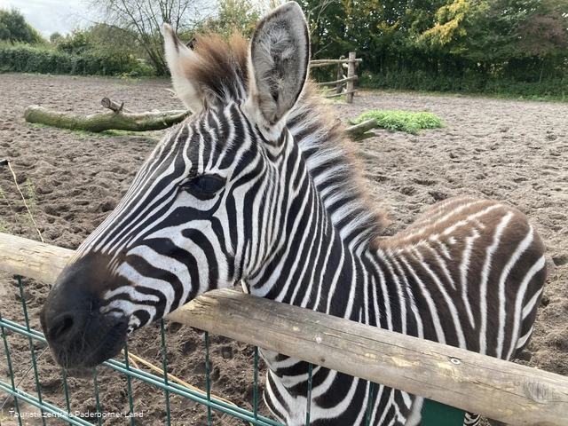 Tierpark Nadermann | Delbrück