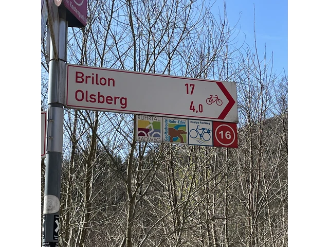 51_Beschilderungskataster_Wegweiser-Brilon-Olsberg_493916.jpeg
