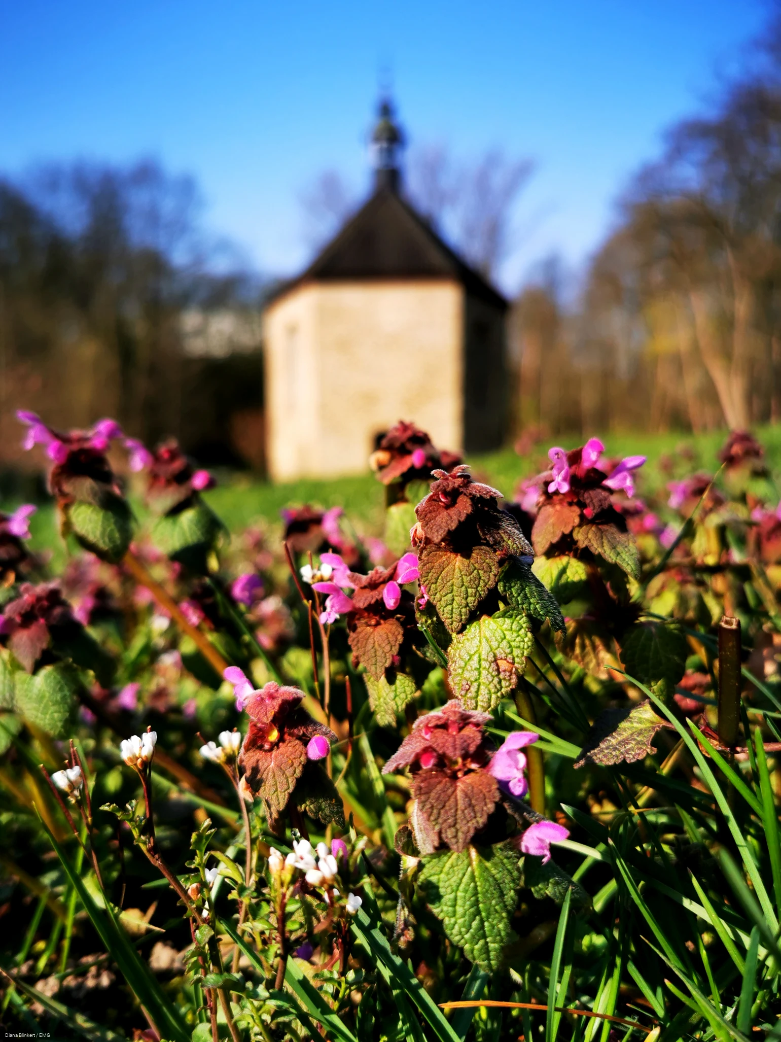 Sankt Annenkapelle Frühling