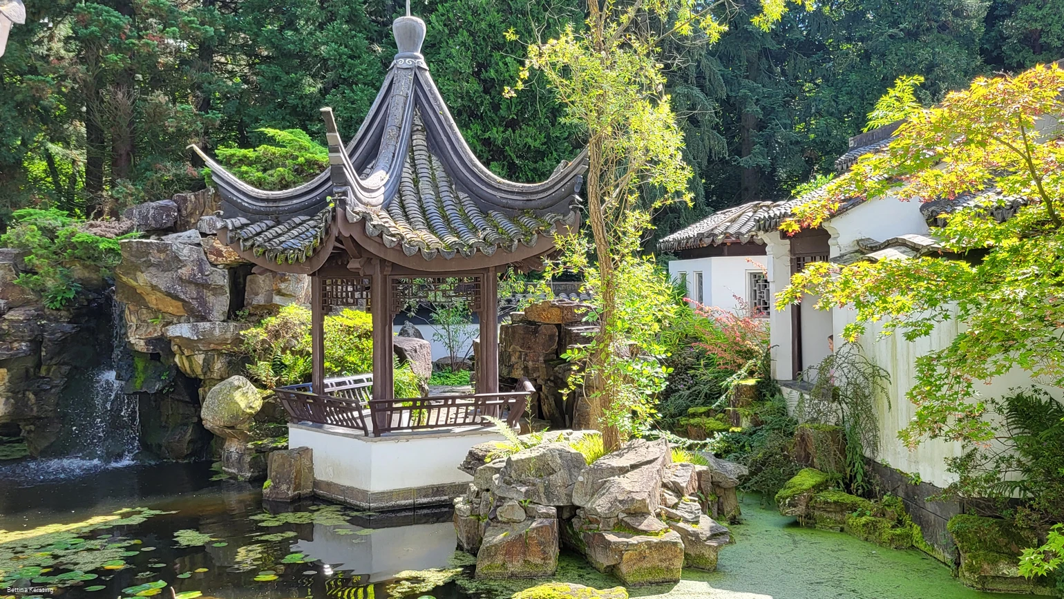 Chinesischer Garten_Bettina Kersting_CC_BY_SA.jpg