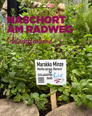 2025_03_17_Schlaraffenband