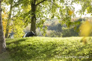 Umgebung des Wald & Golfhotel Lottental in Bochum