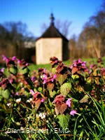 Sankt Annenkapelle Frühling