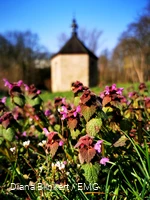 Sankt Annenkapelle Frühling