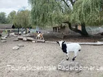 Tierpark Nadermann | Delbrück