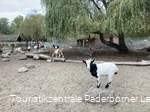 Tierpark Nadermann | Delbrück