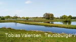 Steinhorster Becken