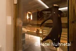 Sauna im Hotel Nuhnetal in Winterberg
