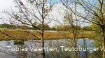 Steinhorster Becken
