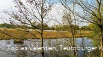 Steinhorster Becken