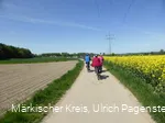 Radler mit Rapsfeld