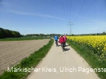 Radler mit Rapsfeld