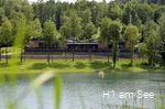 Blick auf das H1 am See in Meschede am Hennesee