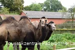 Tierpark Nadermann | Delbrück