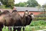 Tierpark Nadermann | Delbrück