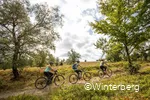 Fahrradfahrer in Winterberg