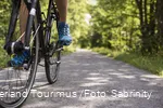 Ein Radfahrer fährt auf einem Fahrradweg durch den belaubten Wald.