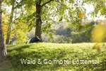 Umgebung des Wald & Golfhotel Lottental in Bochum