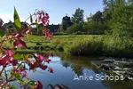 Die Ruhr in Olsberg bei schönem Wetter am Morgen